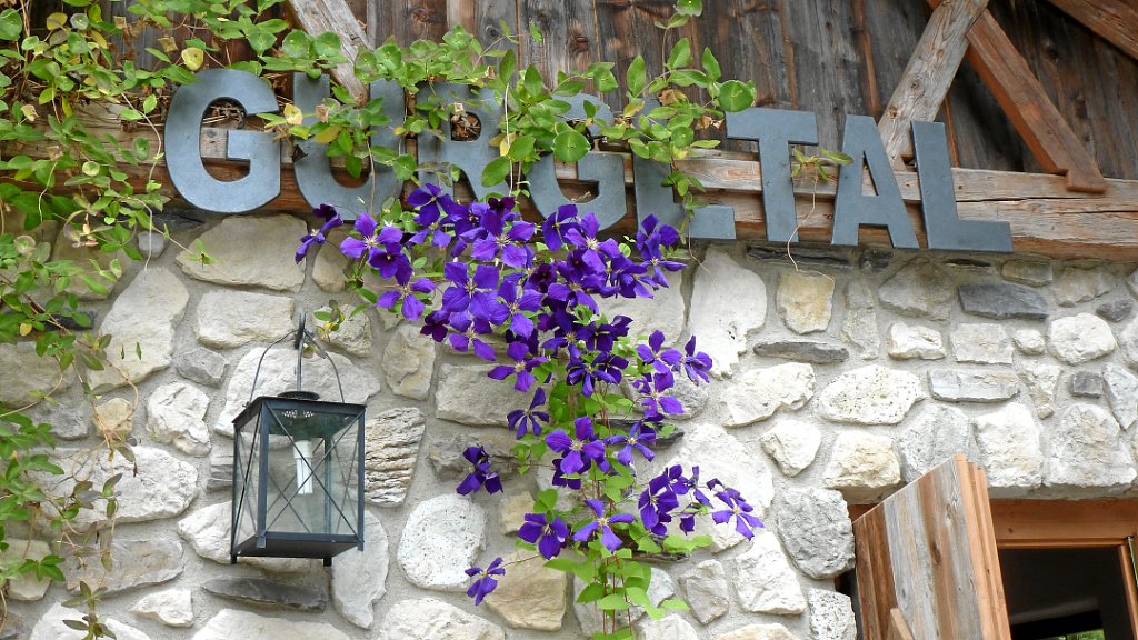 2011-07-30 16.29.01.jpg